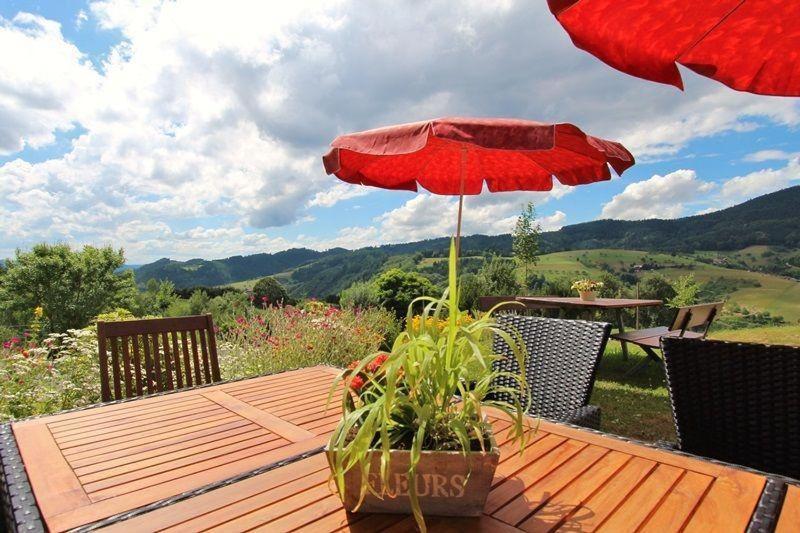 Ferienhaus Hubhof Oberharmersbach Kültér fotó