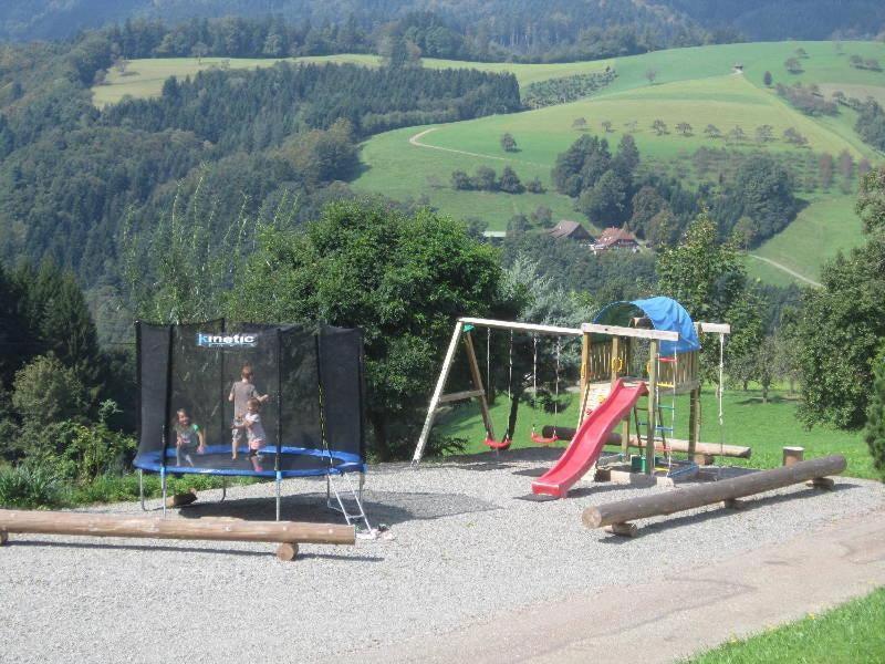 Ferienhaus Hubhof Oberharmersbach Kültér fotó