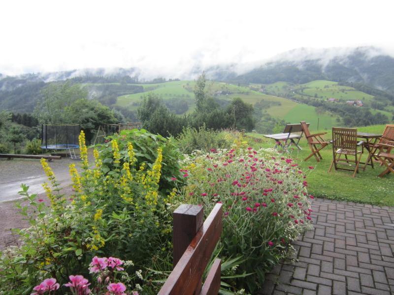 Ferienhaus Hubhof Oberharmersbach Kültér fotó