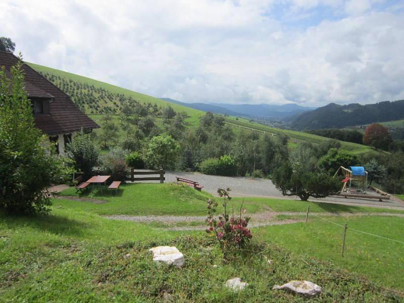 Ferienhaus Hubhof Oberharmersbach Kültér fotó