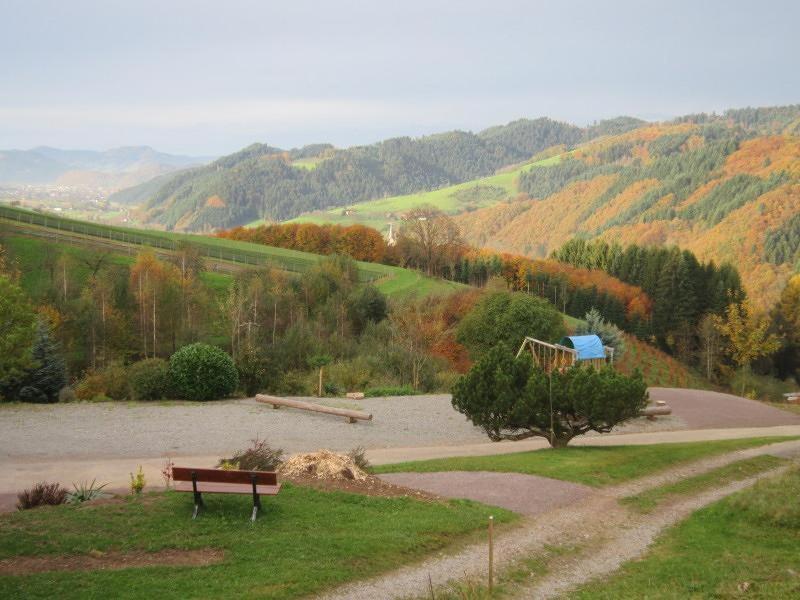Ferienhaus Hubhof Oberharmersbach Kültér fotó