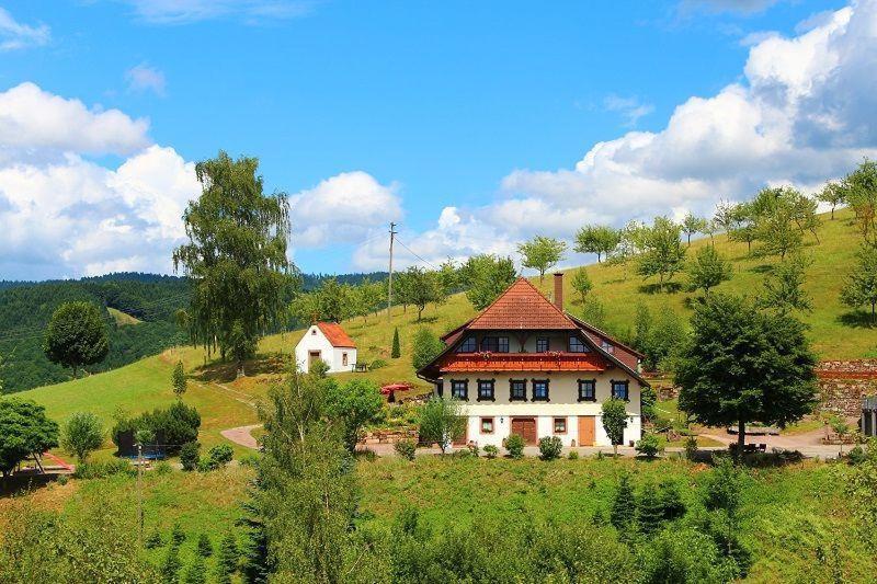 Ferienhaus Hubhof Oberharmersbach Kültér fotó