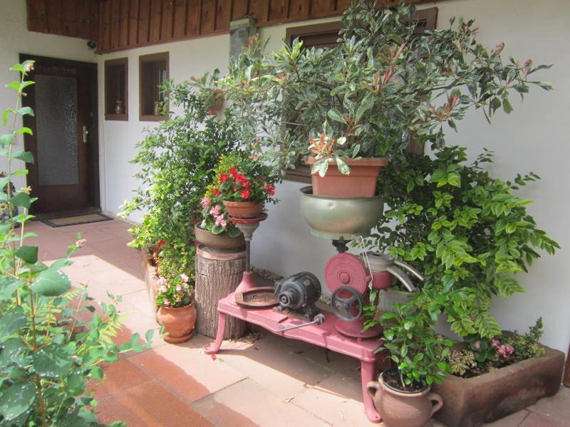 Ferienhaus Hubhof Oberharmersbach Kültér fotó