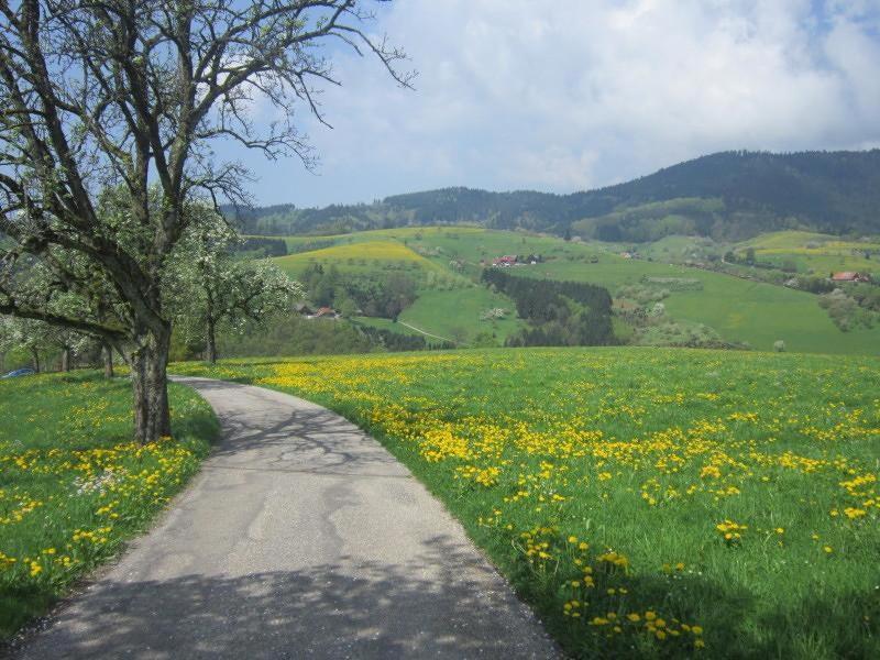 Ferienhaus Hubhof Oberharmersbach Kültér fotó