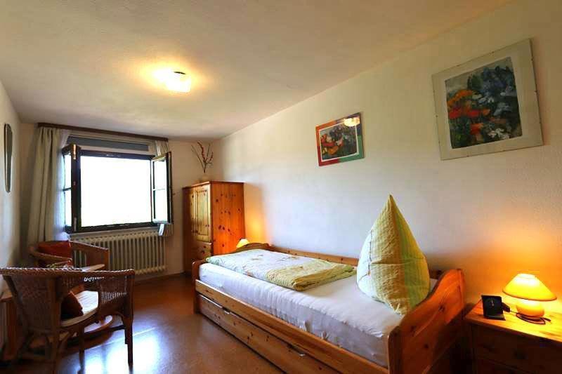 Ferienhaus Hubhof Oberharmersbach Kültér fotó
